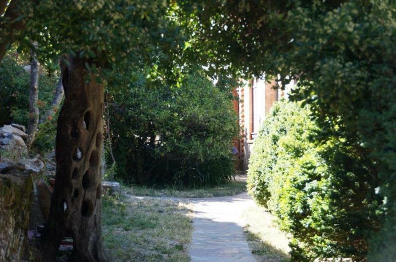 Quinta Algarve Das Relvinhas Monchique Eksteriør billede